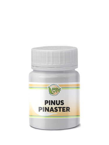 Pinus Pinaster 150mg 60 Cápsulas